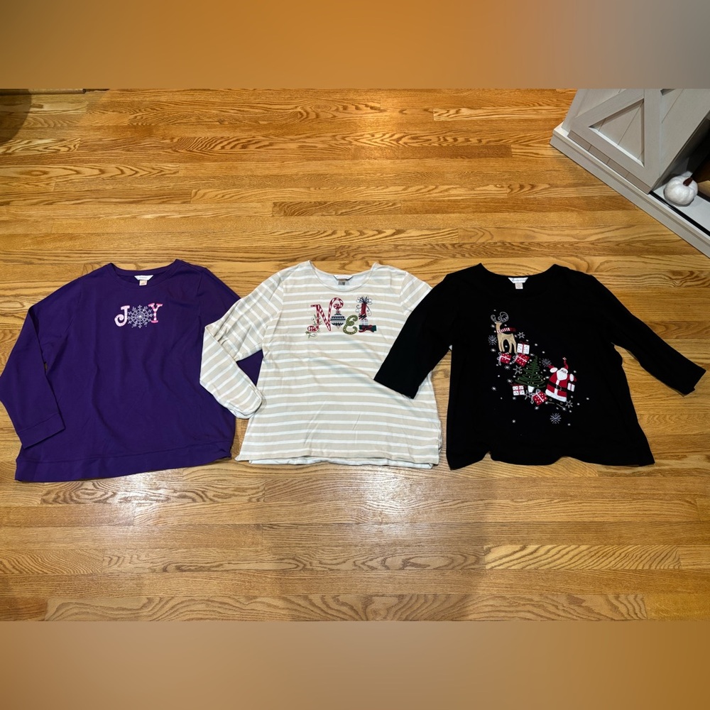 Christopher & Banks Embroidered Holiday Shirt Lot sz XL